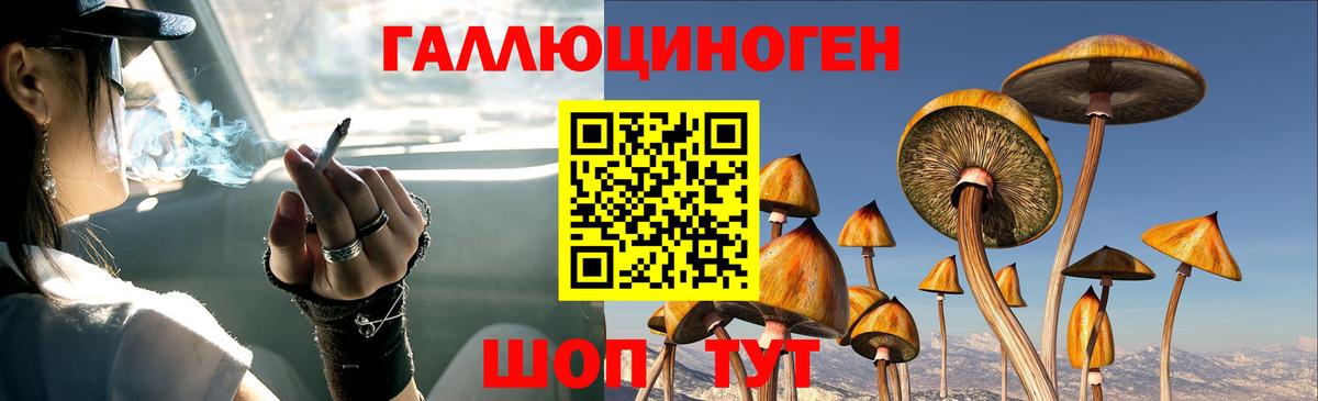 сколько стоит  Вход с VPN  Шарыпово  Псилоцибиновые грибы Psilocybe 