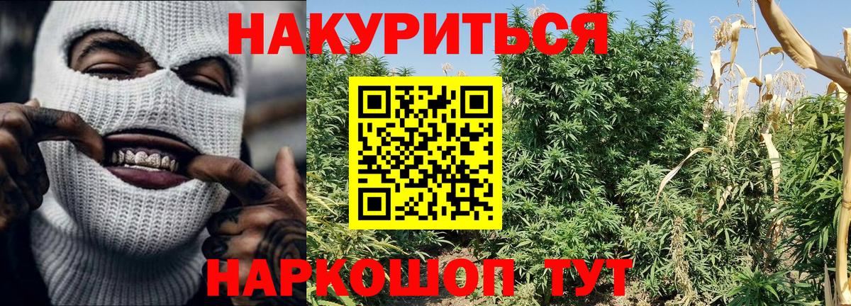 Конопля White Widow Шарыпово